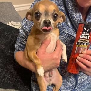 Meet your Posher, Kurt